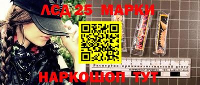 гидра Будённовск