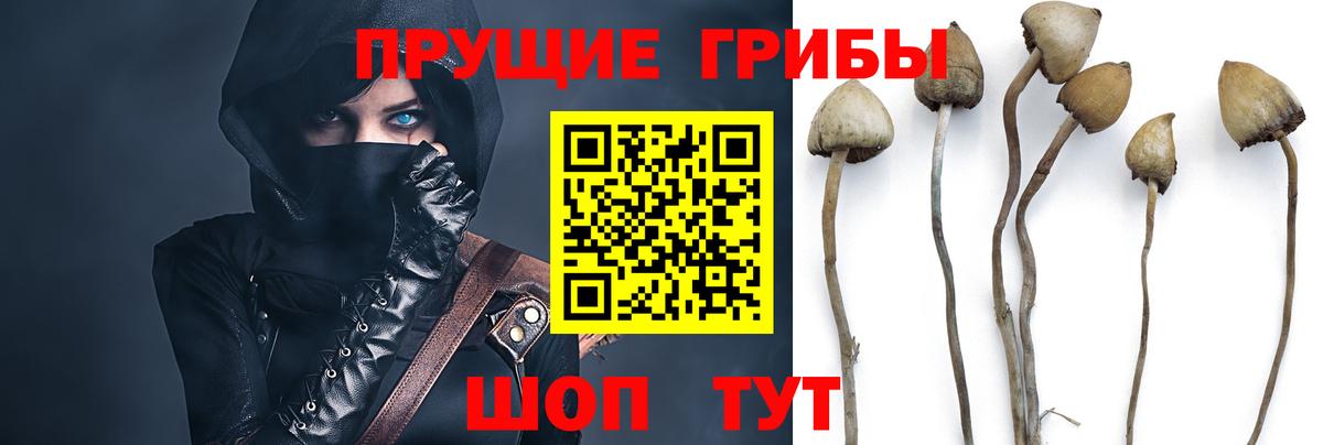 Псилоцибиновые грибы Cubensis  Псилоцибиновые грибы Magic Shrooms  Лянтор  Вход с VPN 